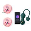 Ben Wa Ball Pelvic Exercise Kit Smart Vaginal Tightening Adult Sex Toy Kegel Weight Exercise Balls Set For Woman